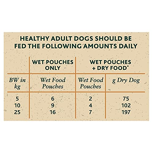 WINALOT Sunday Dinner Mixed in Gravy Wet Dog Food 40x100g