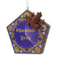 Hallmark Collectable Harry Potter Chocolate Frog and Box Christmas Ornament, Harry Potter Decoration, Christmas Hanging Ornament, Gifts for Christmas