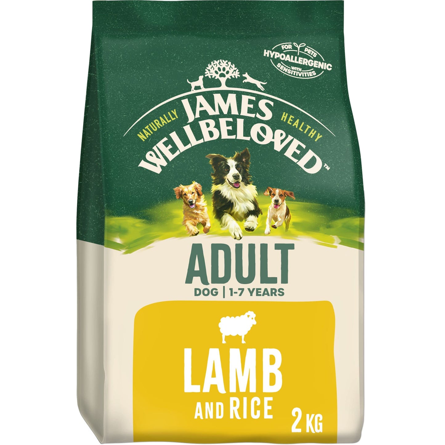 James Wellbeloved Adult Lamb & Rice 2 kg Bag, Hypoallergenic Dry Dog Food